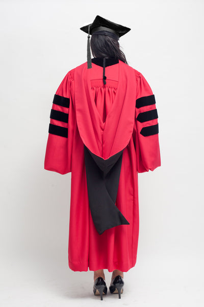 Harvard Doctoral Regalia (Back)